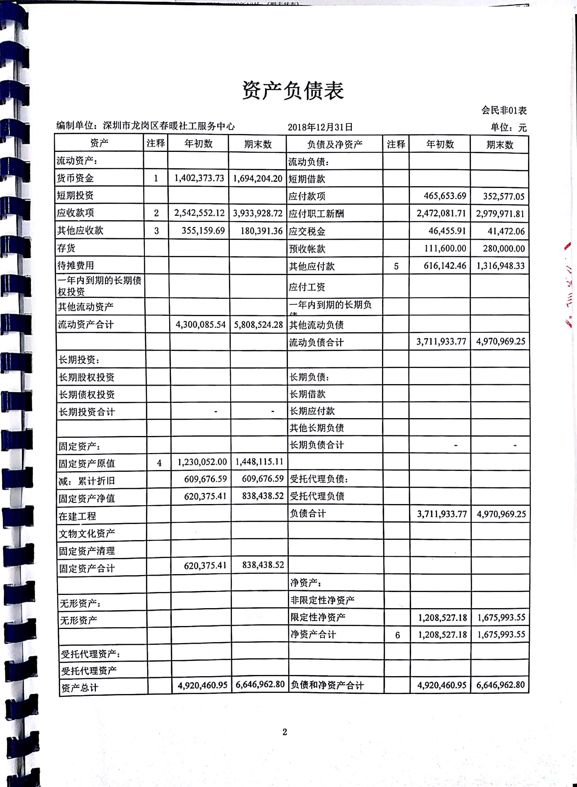 春暖社工2018年度财务审计报告