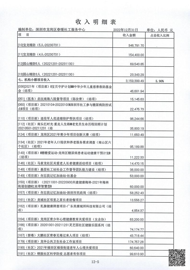 春暖社工2022年度财务审计报告