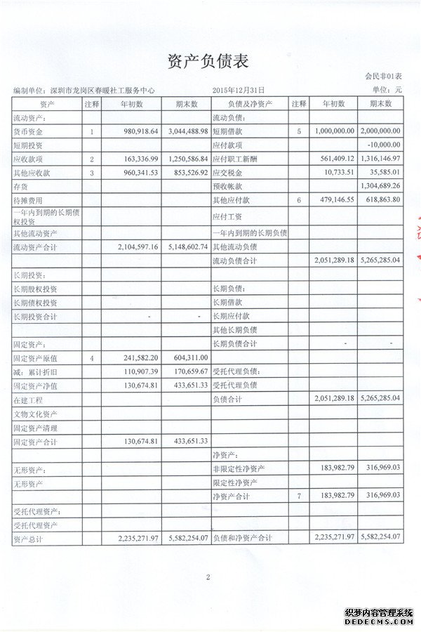 春暖社工2015年度审计报告